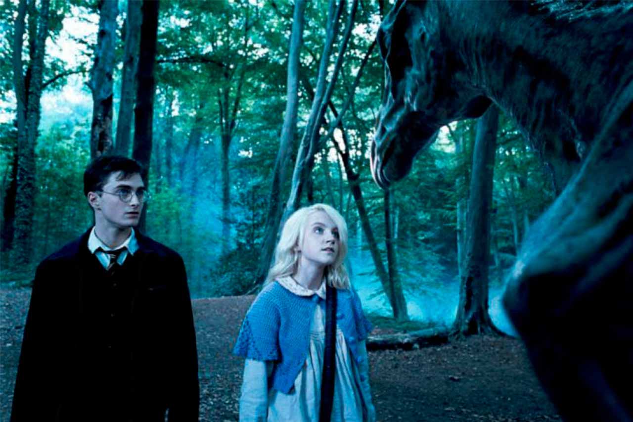 Crítica Harry Potter y la Orden del Fénix