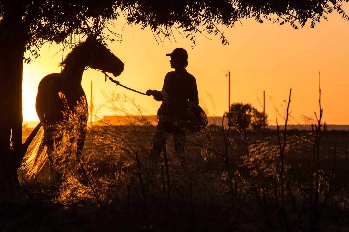 Crítica Lean on Pete