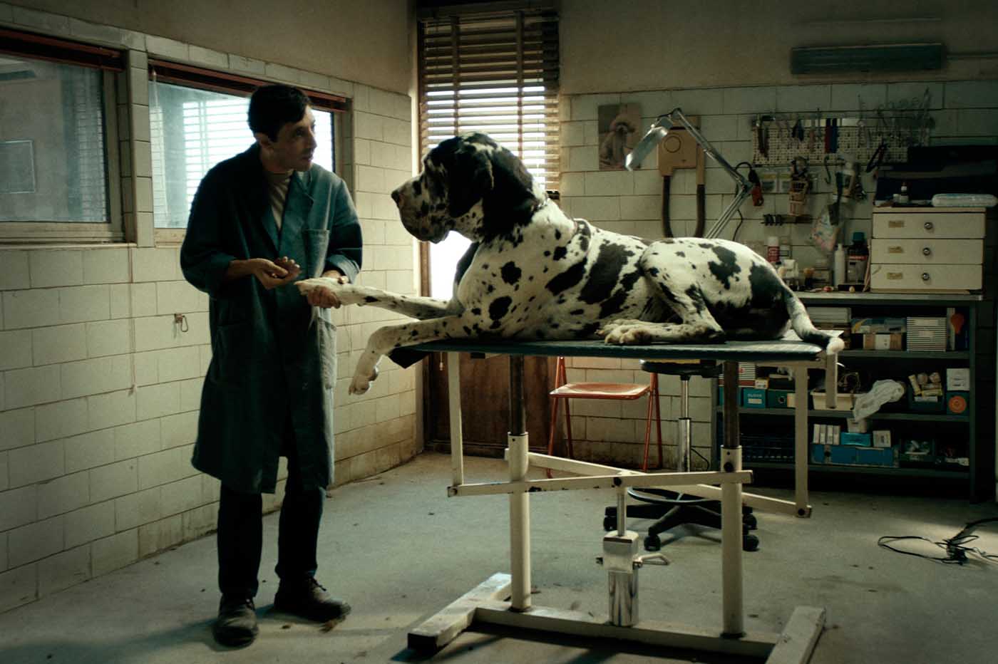 Crítica Dogman