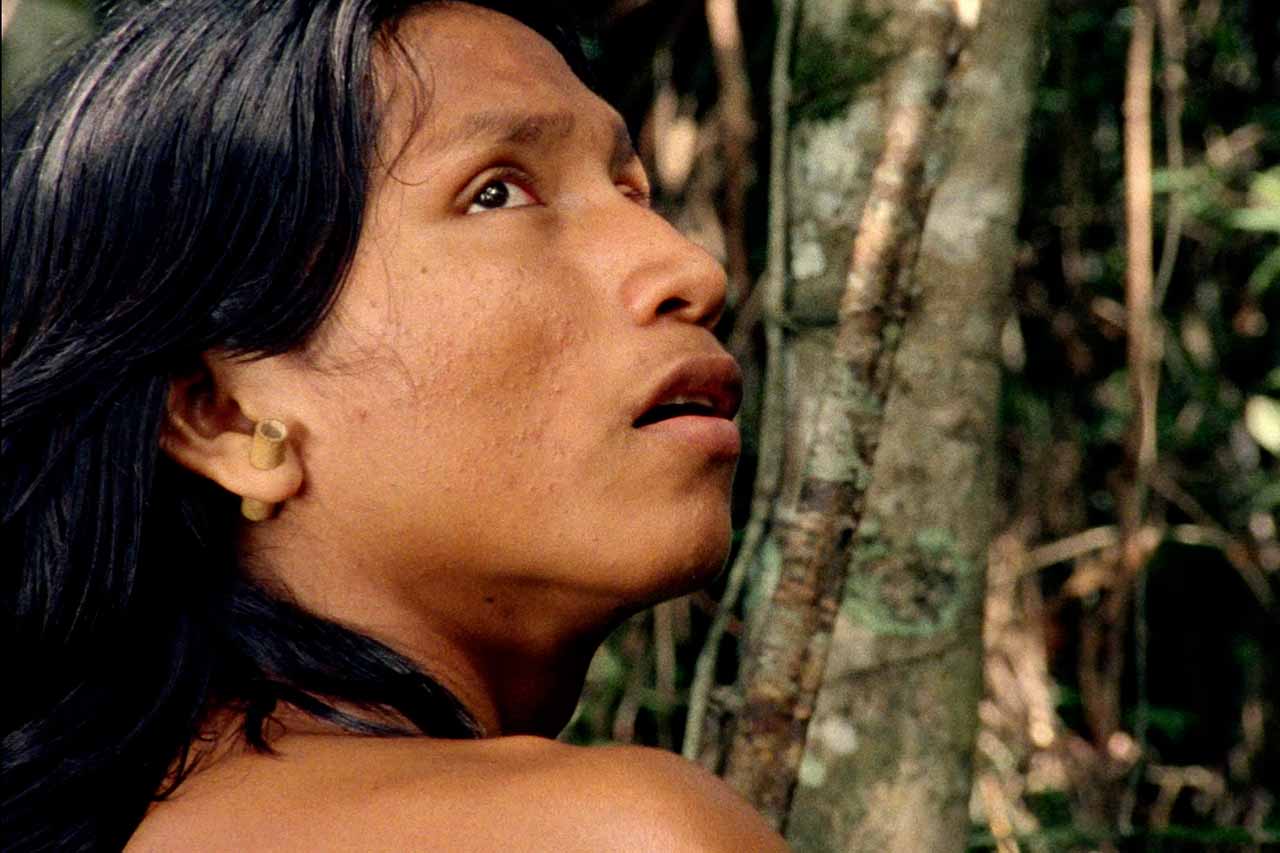 Crítica El canto de la selva