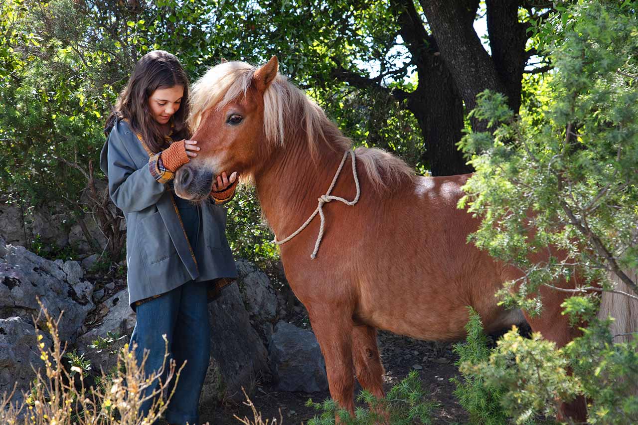 Crítica Mi amigo pony