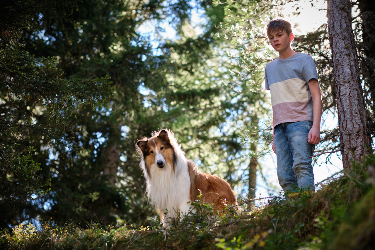 Crítica Lassie. Una nueva aventura